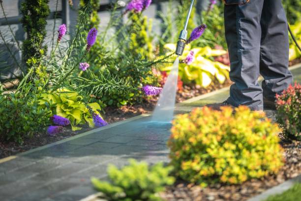 Best Sidewalk and Walkway Pressure Cleaning in Fairfield, IL